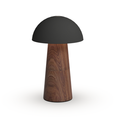 #colour_brown-wood