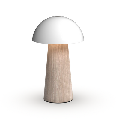 #colour_light-wood